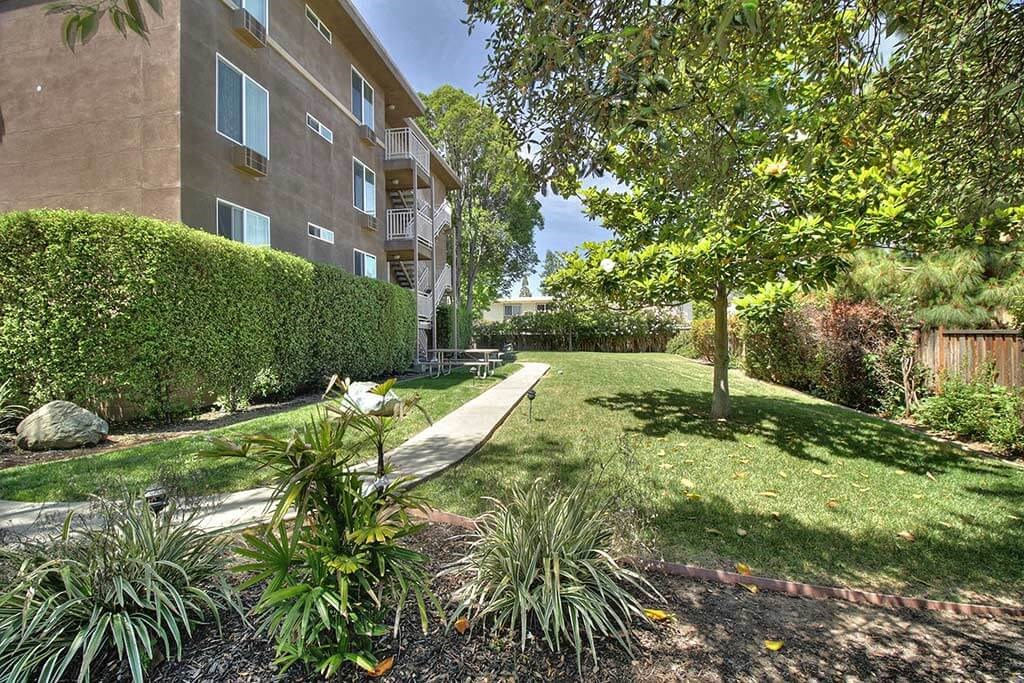 Greenery outside building  at The Luxe, Santa Clara, 95051