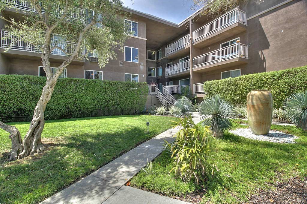 Hedges at The Luxe, California, 95051