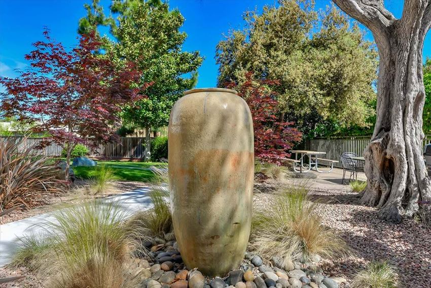 Garden at The Luxe, Santa Clara, CA - Photo Gallery 1