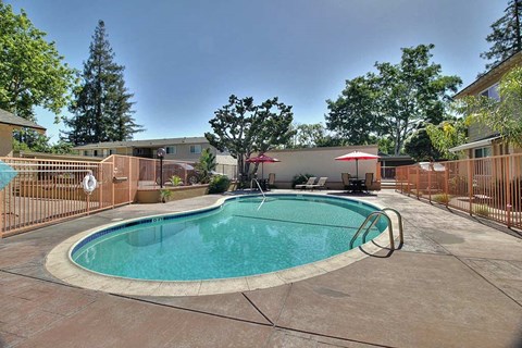 Invigorating Swimming Pool at Pines, Campbell, CA