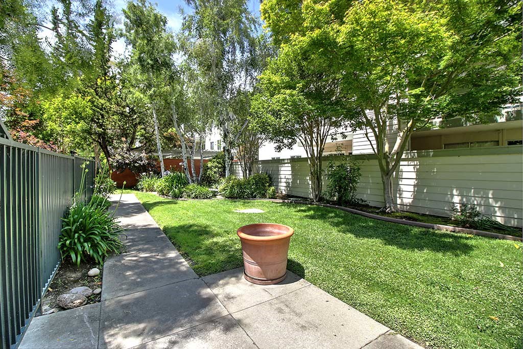 Backyard at Wellesley Crescent, California, 94062