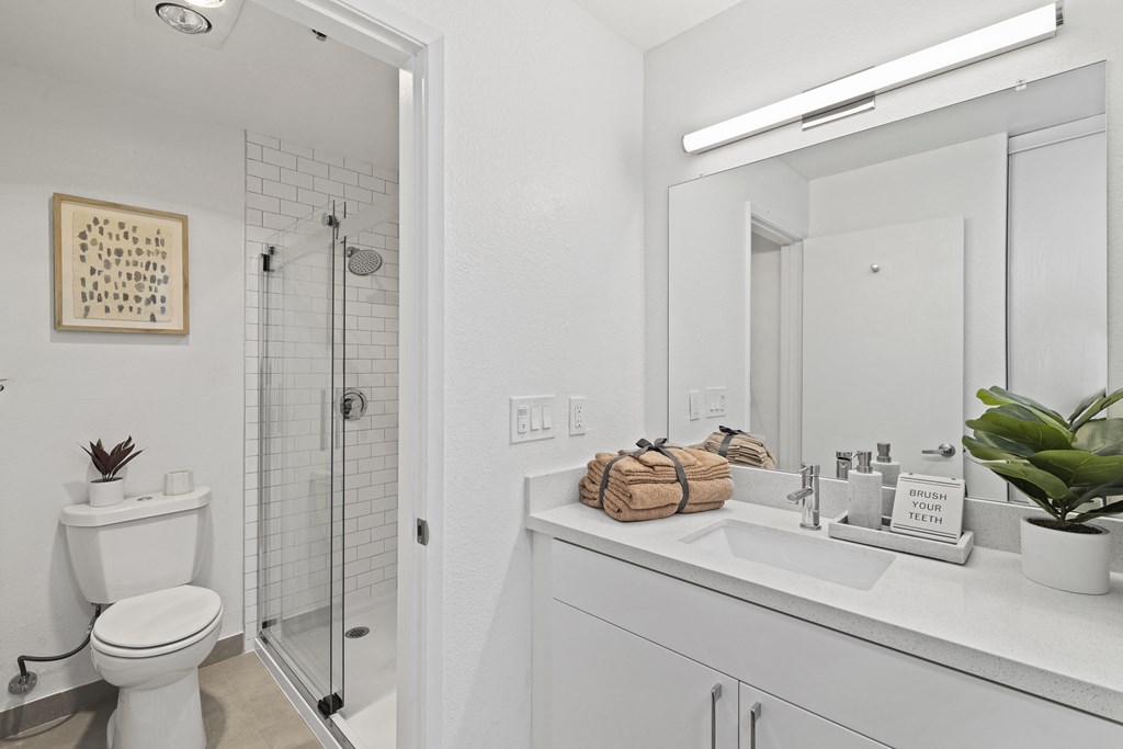 a bathroom with a shower sink and toilet and a mirror