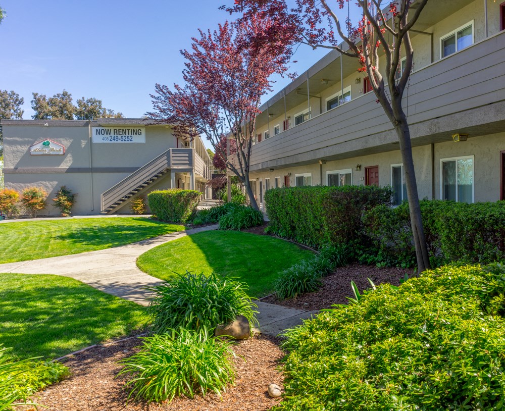 A tree with red leaves stands in front of a building with a sign that says