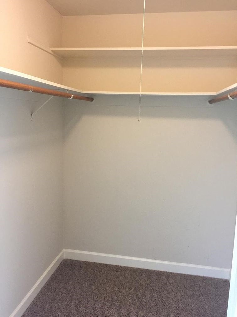 A small, empty closet with a carpeted floor.