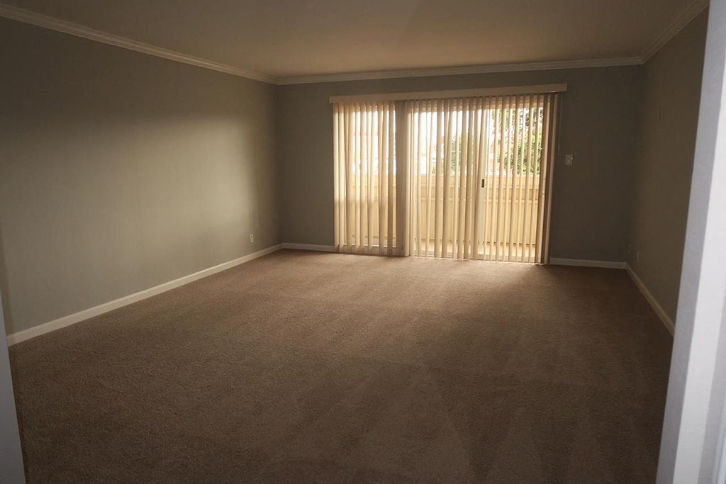 A room with carpeted floor and a window with blinds.