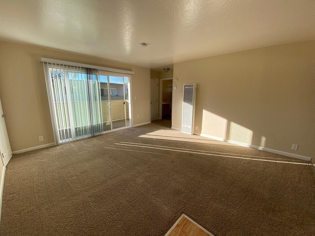 A large, empty room with carpeted flooring and a sliding glass door.