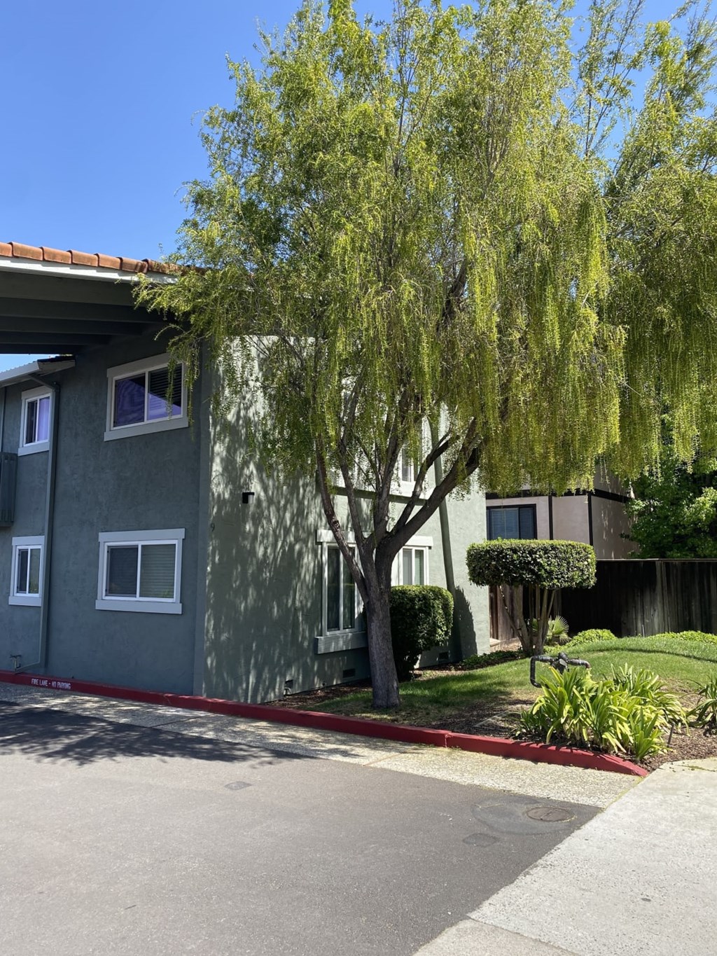 A tree with long hanging branches in front of a grey building.