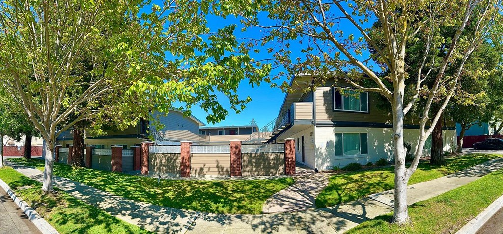 A house with a white fence and a tree in front.