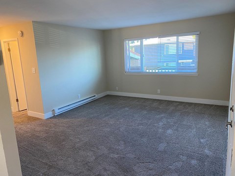 A room with a carpeted floor and a window with blinds.