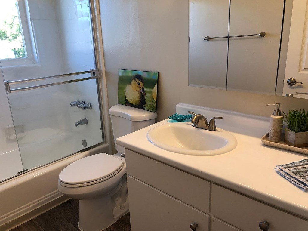 A white toilet sits next to a sink in a bathroom.