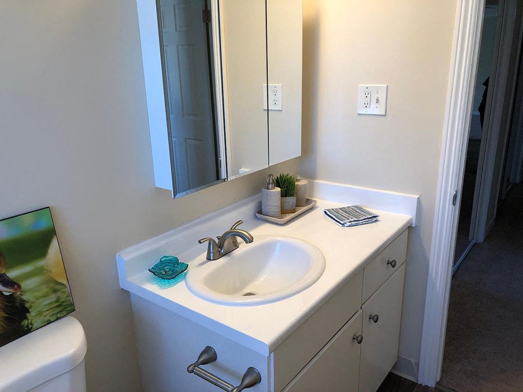A bathroom with a sink, mirror, and toilet.