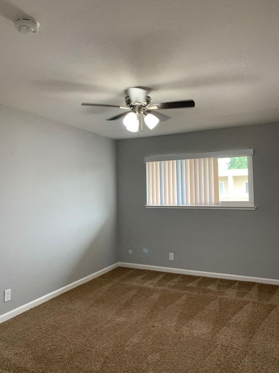 A room with a ceiling fan and carpeted floor.