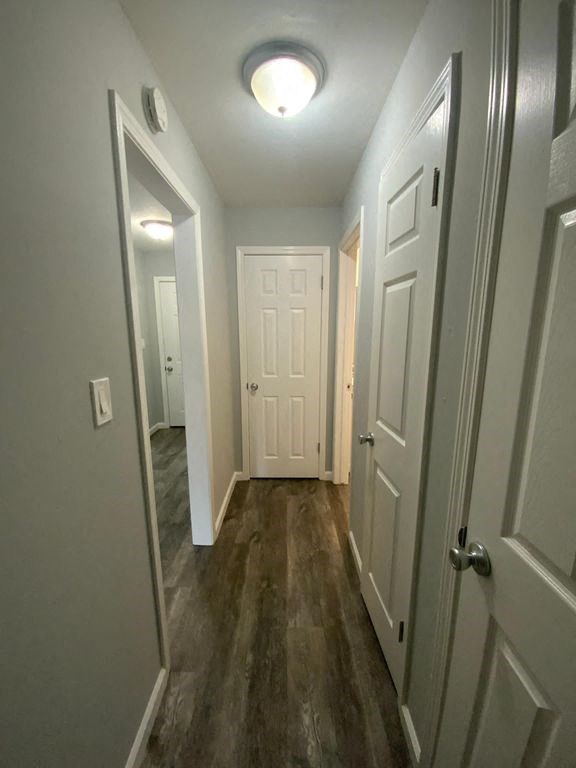 A hallway with white doors and a light on the ceiling.