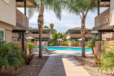 A pool surrounded by palm trees and a concrete walkway.