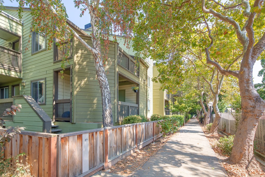 a sidewalk in front of green apartments with trees