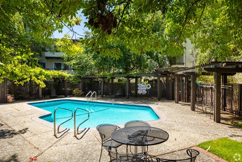 A pool surrounded by trees and a table and chairs.