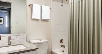 A bathroom with a toilet, sink, and shower curtain.