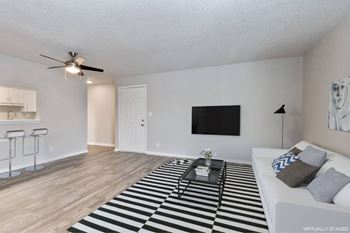 A living room with a black and white striped rug.