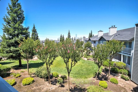 Landscaped courtyard with trees and green space at Rosemeade Apartments, Roseville, CA 95661