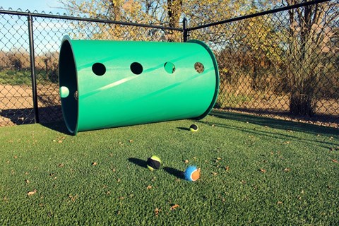 A green cylinder with holes on it is on a grassy field.