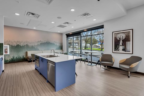 Kitchen Counter at Altaire at Jackson Park, Seattle, WA, 98125