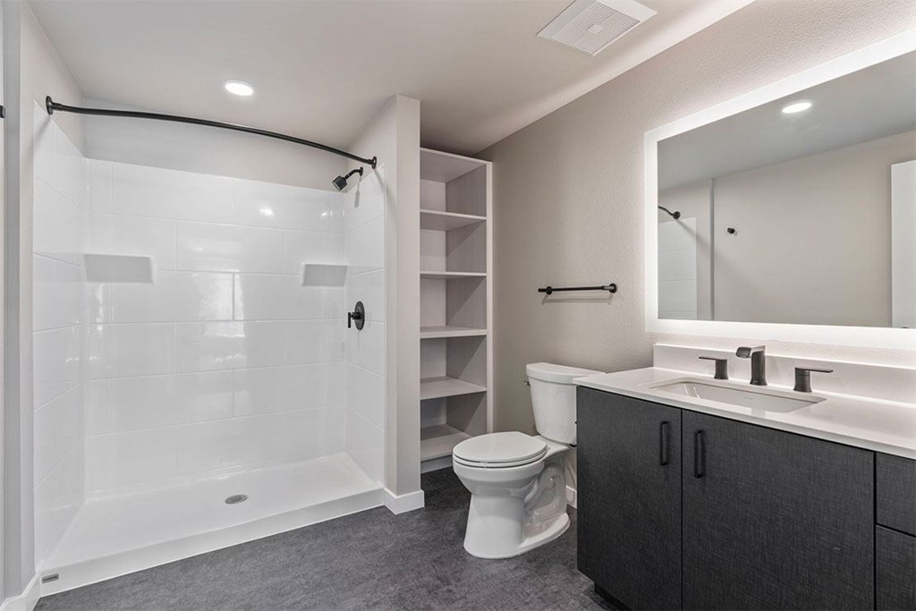 bathroom showing sink, toilet and a walk-in shower