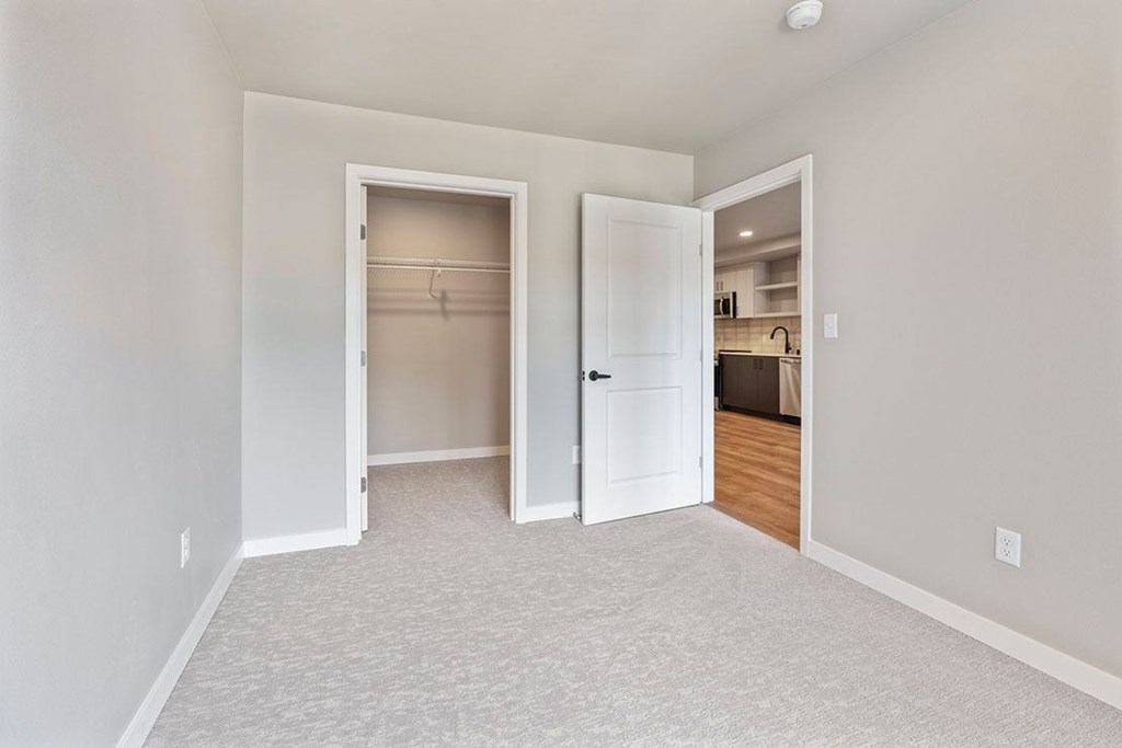 A room with two open doors and a carpeted floor