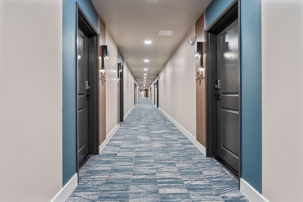 A long hallway with doors on both sides and a carpeted floor