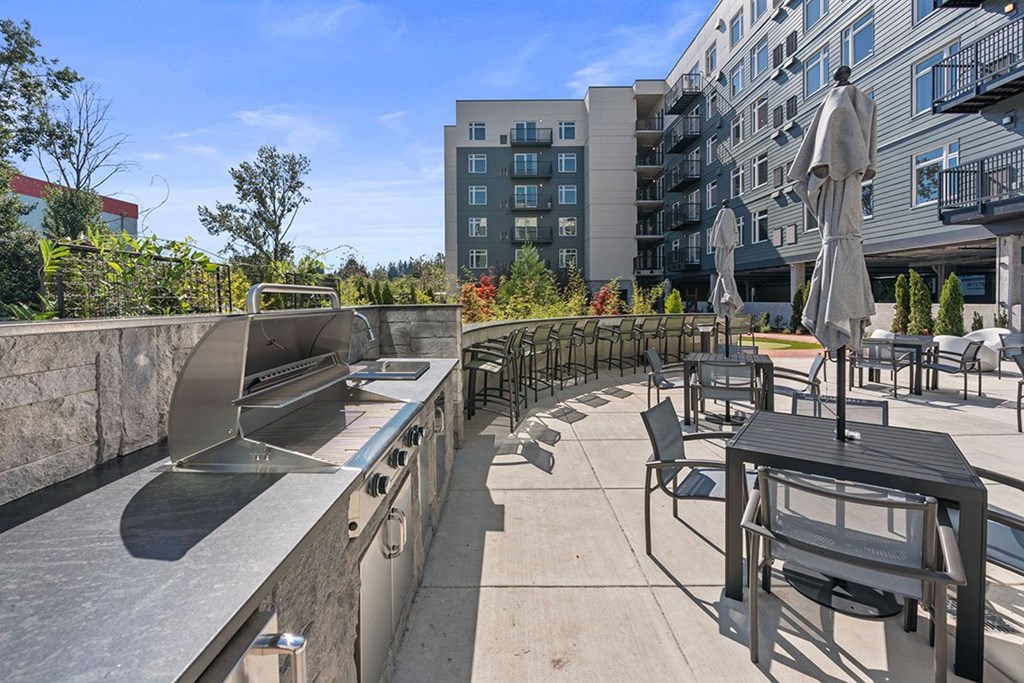 A row of chairs are lined up on a patio