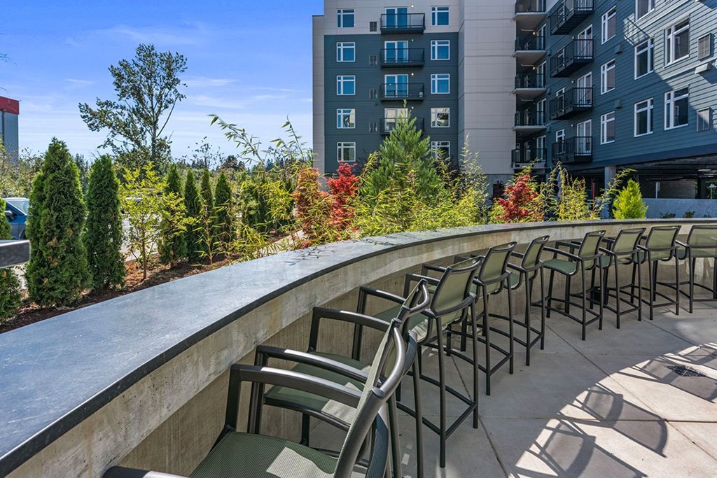 A row of chairs are lined up on a patio