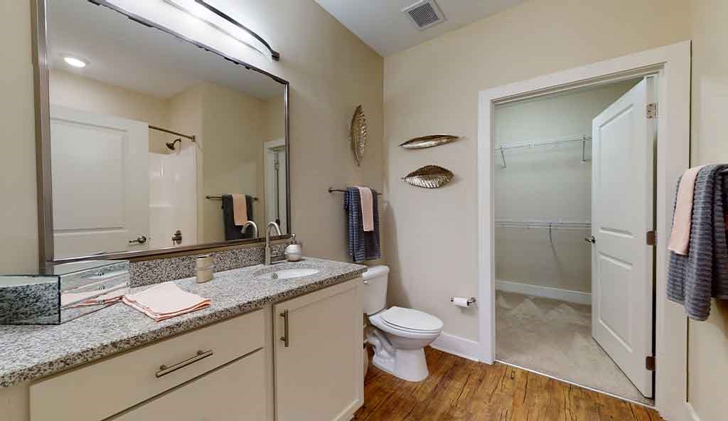 a bathroom with a shower toilet and sink and a mirror