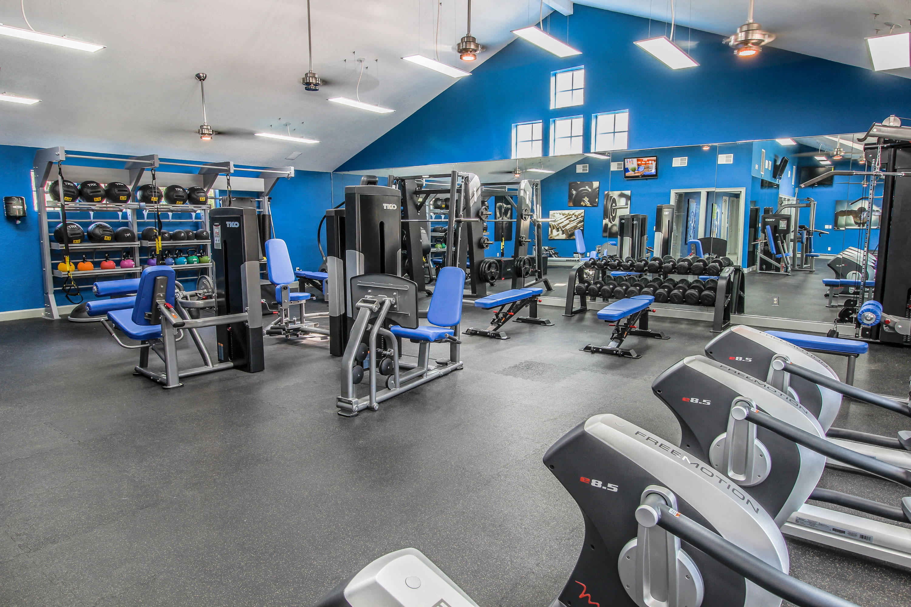 The Niche - Student Apartments