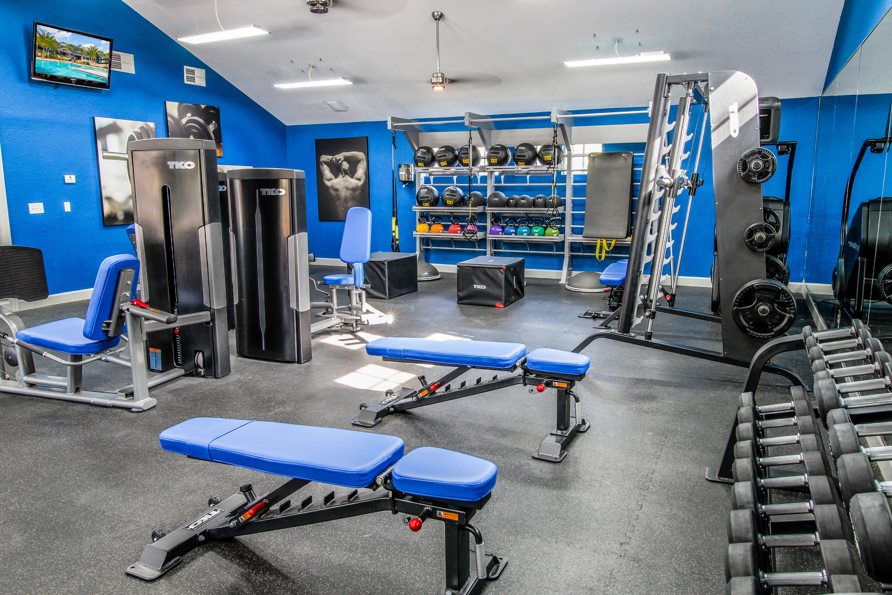 The Niche - Student Apartments