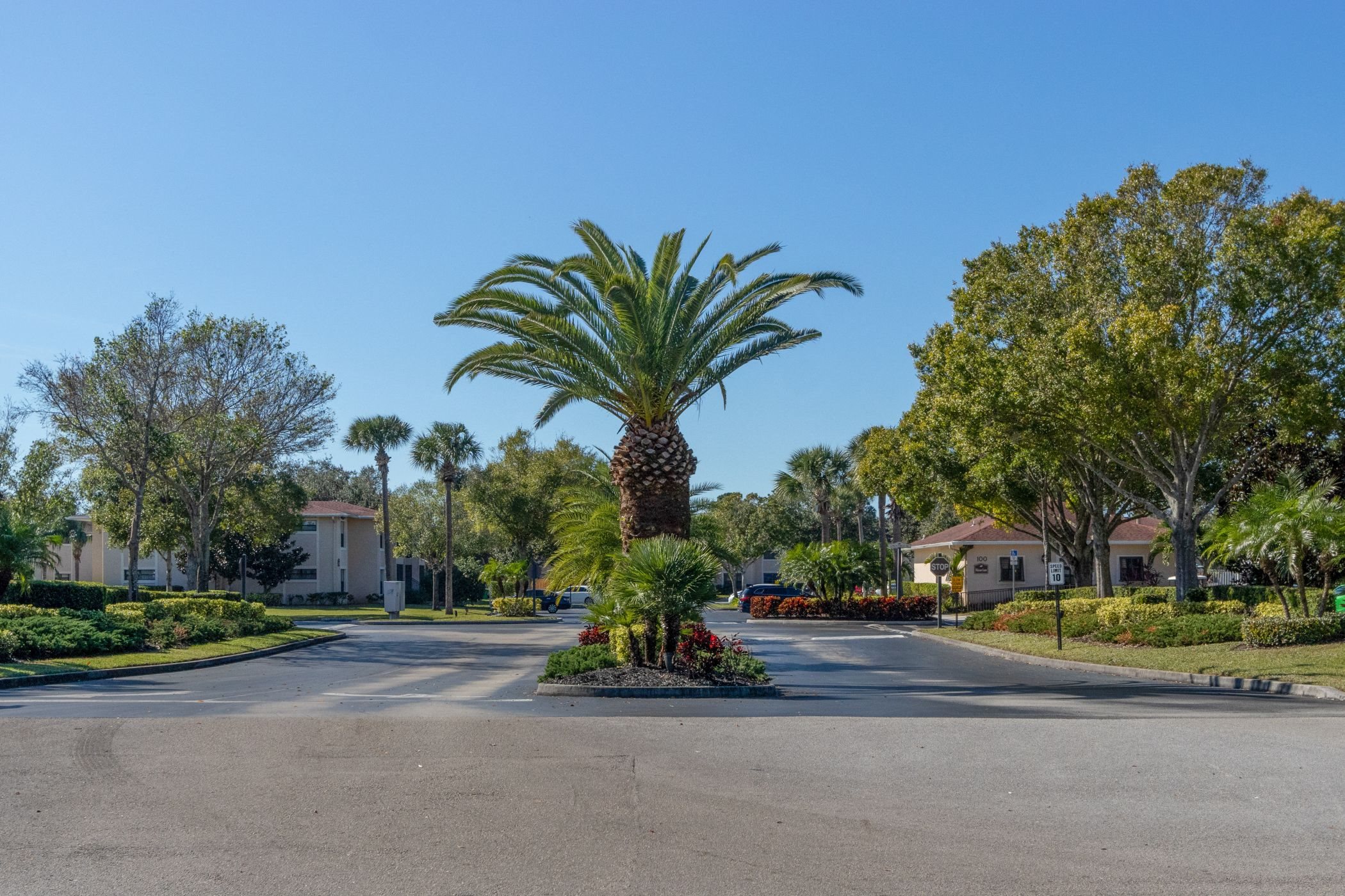 Photos and Video of Harbour Bay in Palm B, FL