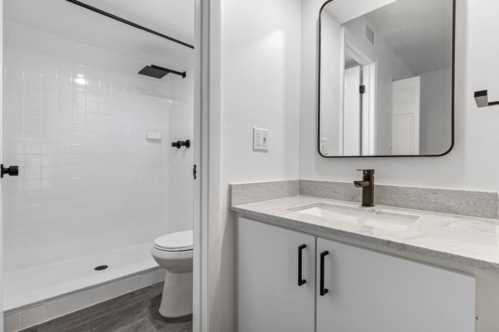 a bathroom with a sink and a toilet