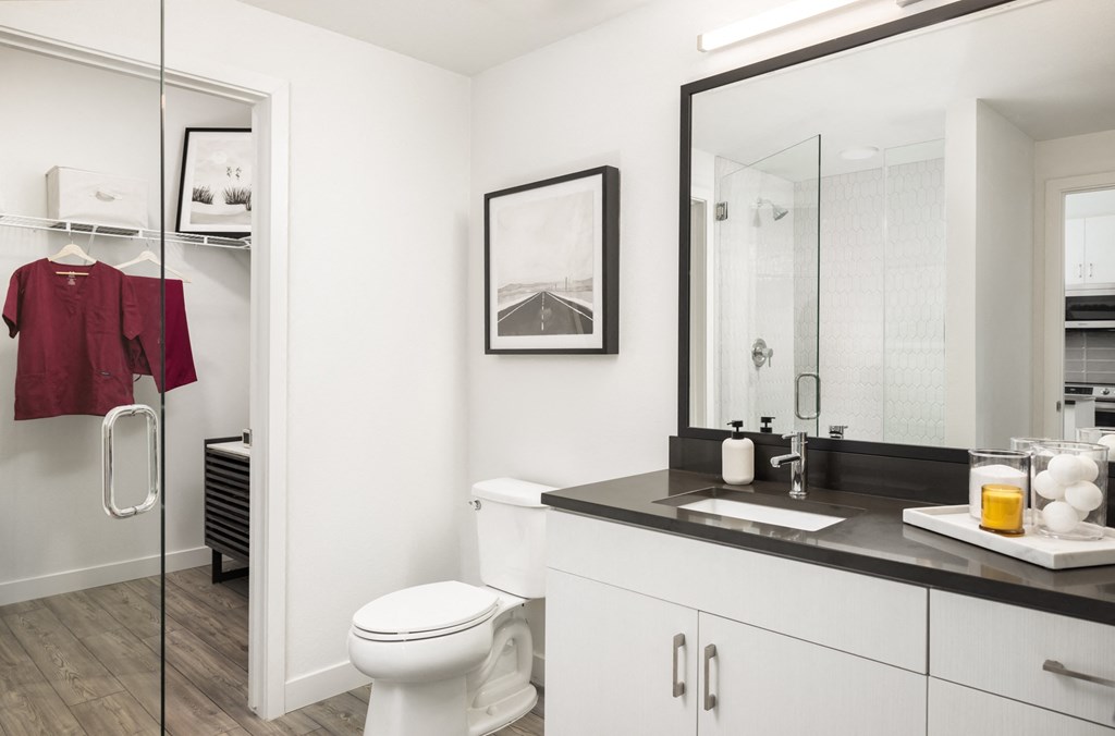 a bathroom with a sink and a toilet and a shower