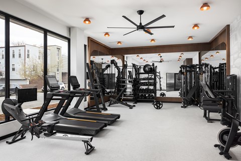 A gym with treadmills, weights, and exercise equipment.