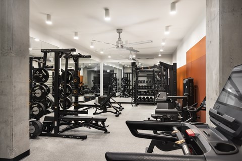 A gym with a variety of equipment including weights and cardio machines.