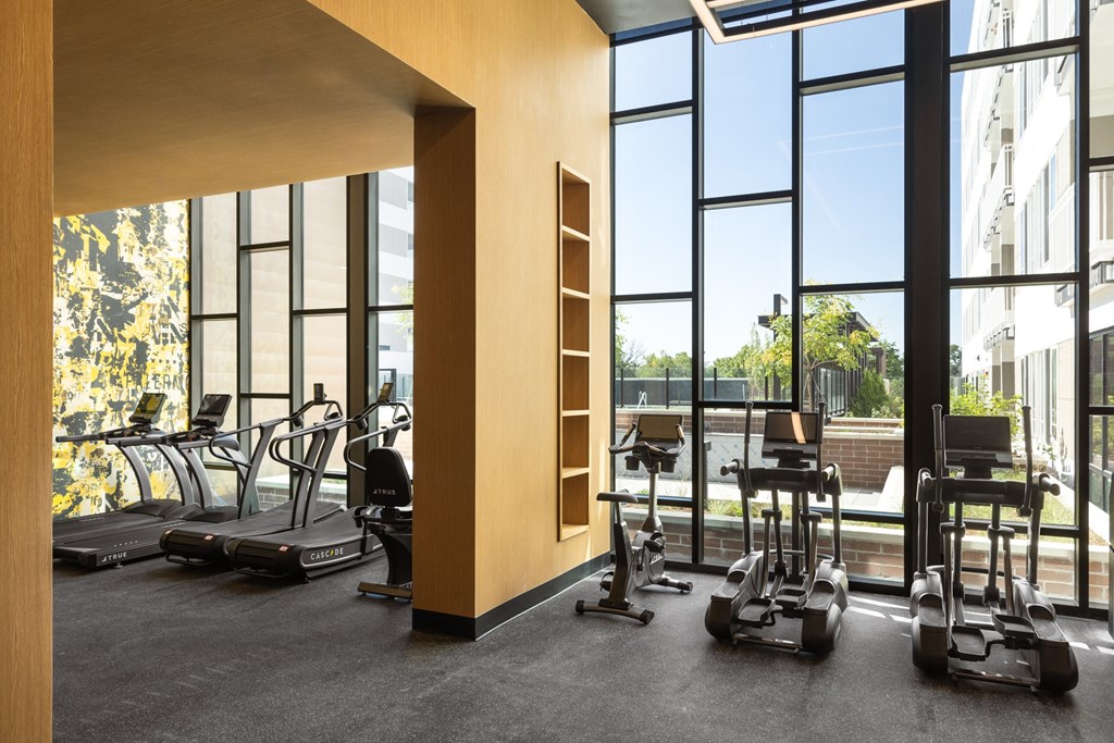 a gym with a row of exercise machines and large windows