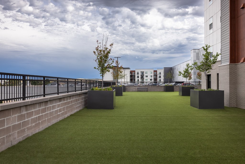 A rooftop garden with a white building in the background.