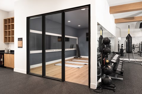 A gym with a row of exercise balls on the wall.