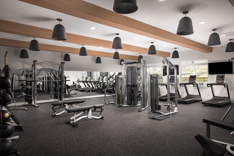 A gym with a variety of equipment including treadmills, weights, and exercise machines.