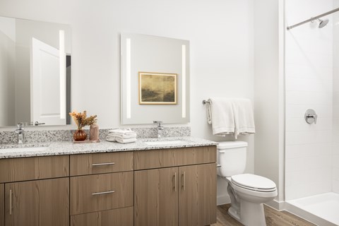 A bathroom with a white toilet, a sink with a mirror above it, and a wooden cabinet below the mirror.