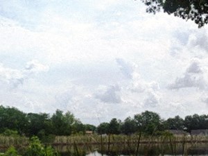 Photos And Video Of Tealwood Parke In Winter Park Fl