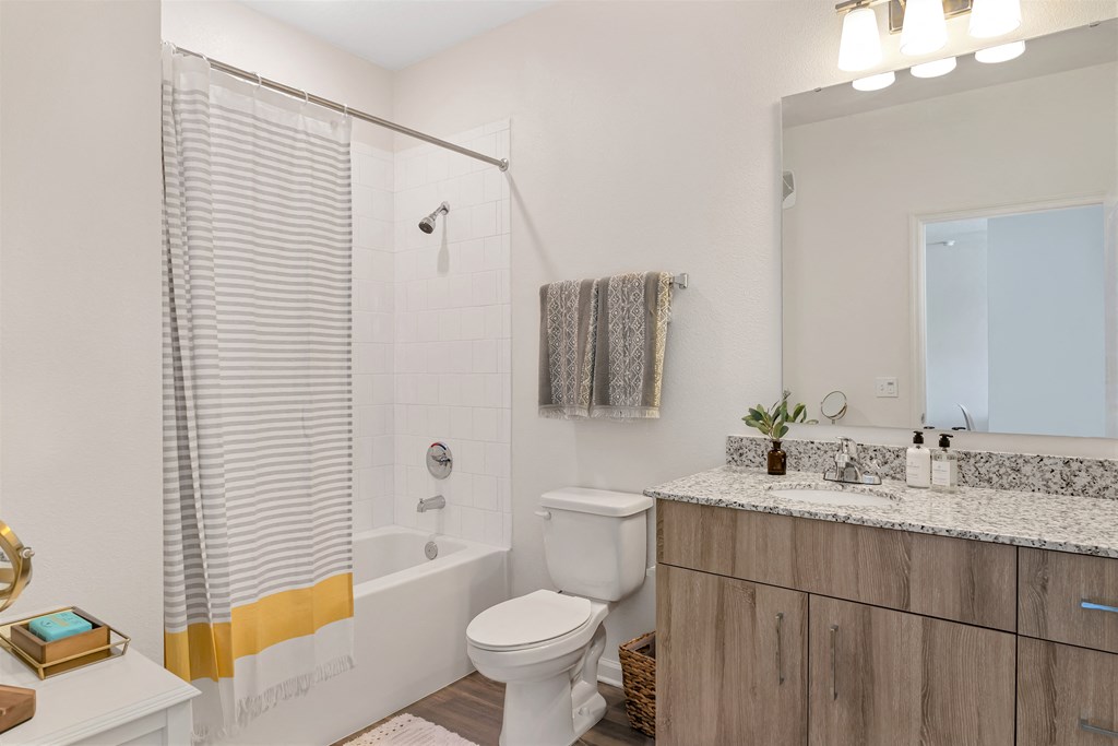 A bathroom with a white toilet, a bathtub with gold and grey stripes, a sink with a mirror above it, and a small potted plant on the counter.