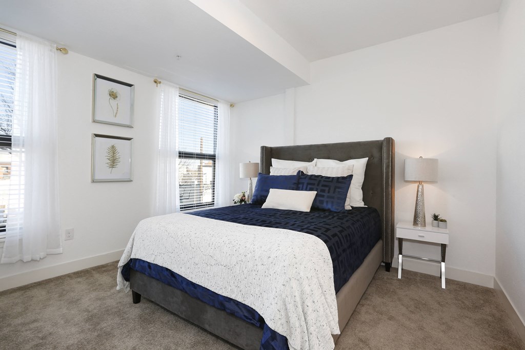 a bedroom with a large bed and two windows