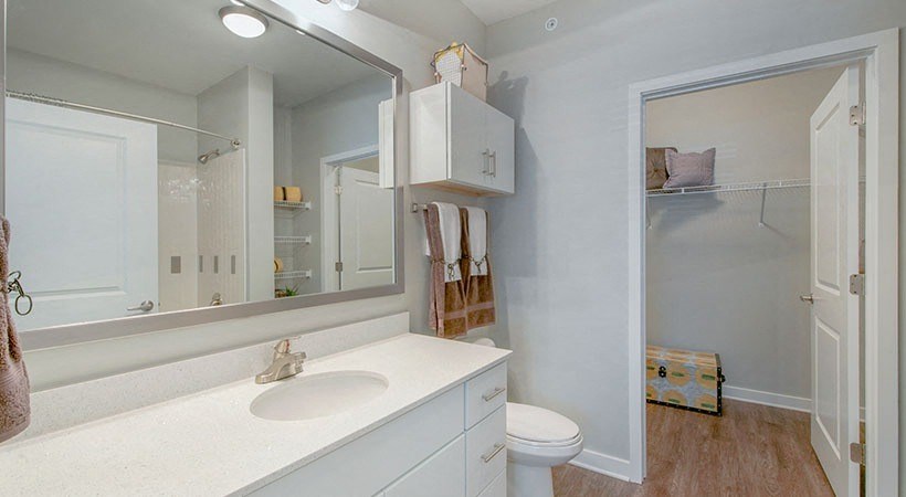 a bathroom with a sink and a mirror and a toilet