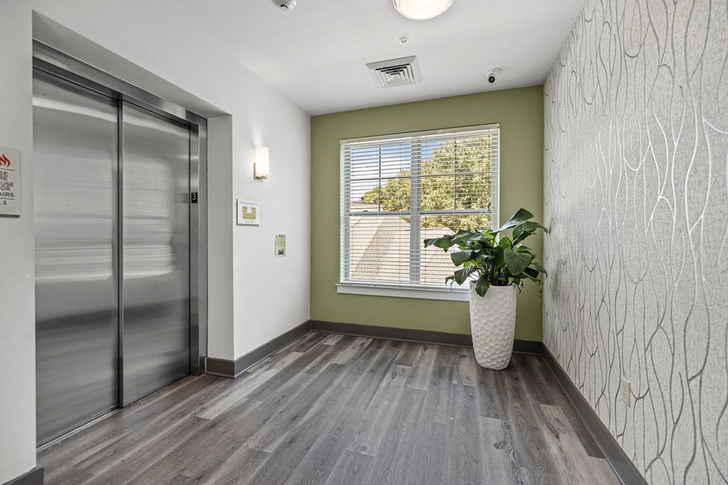 a lobby with a plant and a silver elevator
