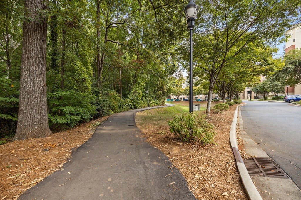 a sidewalk in a park with trees and a street light
