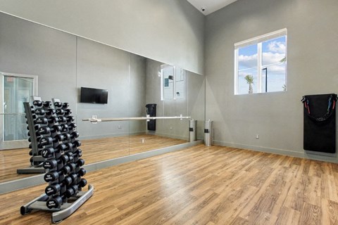 A gym with a wooden floor, mirrors, and a television.